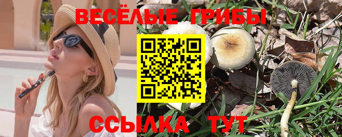 Галлюциногенные грибы GOLDEN TEACHER Унеча