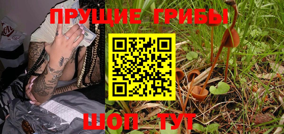 Галлюциногенные грибы Psilocybe  Галлюциногенные грибы MAGIC MUSHROOMS  Унеча  Вход с VPN 